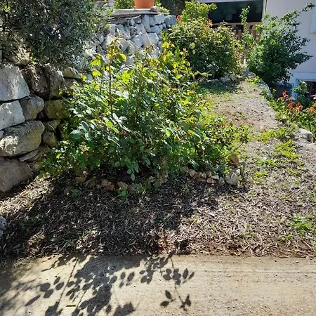 Dalamar Babino Polje