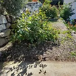 Dalamar Babino Polje